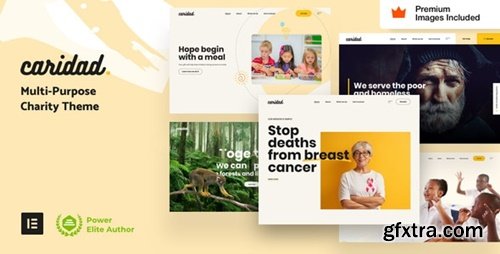 Themeforest - Caridad v18 - Charity WordPress 29896618
