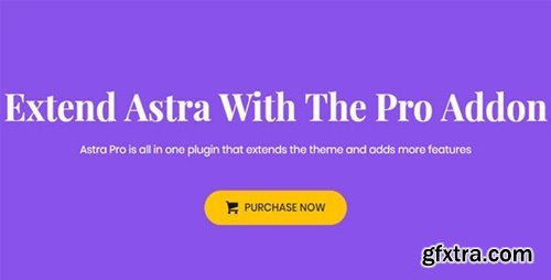 Astra Pro Addon v4.11.0 – Perfect Theme For Any Website