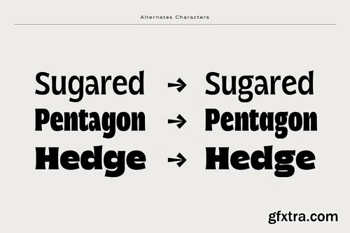 CreativeMarket - Norsy - Variable Display