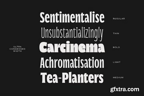 CreativeMarket - Norsy - Variable Display