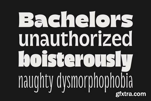 CreativeMarket - Norsy - Variable Display