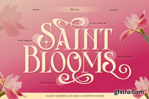 CreativeMarket - Sivola Font