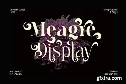 CreativeMarket - Meagre Display - 90s Serif Family