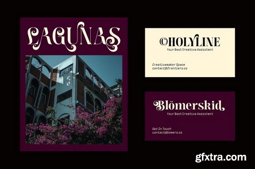 CreativeMarket - Meagre Display - 90s Serif Family