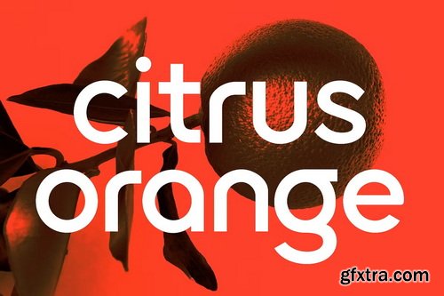 CreativeMarket - Ostra Centra - Geometric Sans