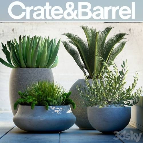 '3dsky Pro - PLANTS 78'