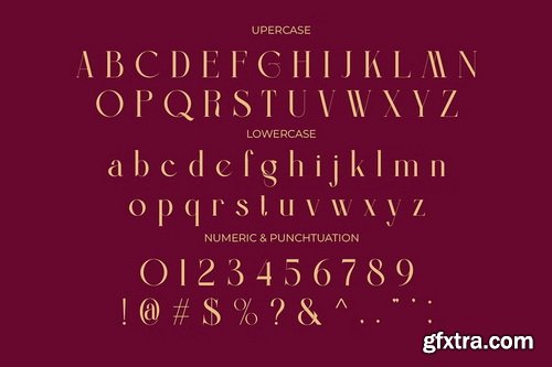 CreativeMarket - Mover Modern Ligature Serif