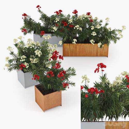 '3dsky Pro - Flowerbed Nerium Planterworx - RANCH, TRUE SQUARE'