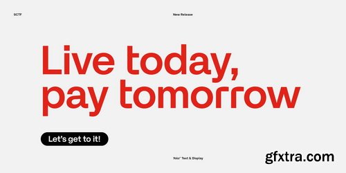 Yolo Complete Font Family