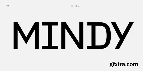 Yolo Complete Font Family