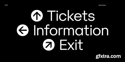 Yolo Complete Font Family