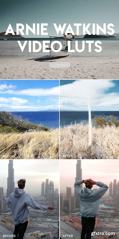 Arnie Watkins Video LUTs