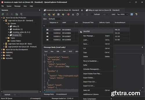 QueueExplorer Professional 5.0.52