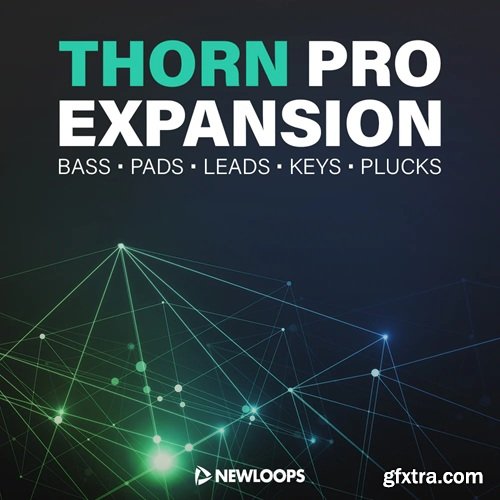 New Loops Thorn Pro Expansion (DS Audio Thorn Presets)