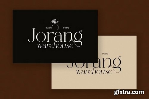 CreativeMarket - Magline Elegant Serif Font