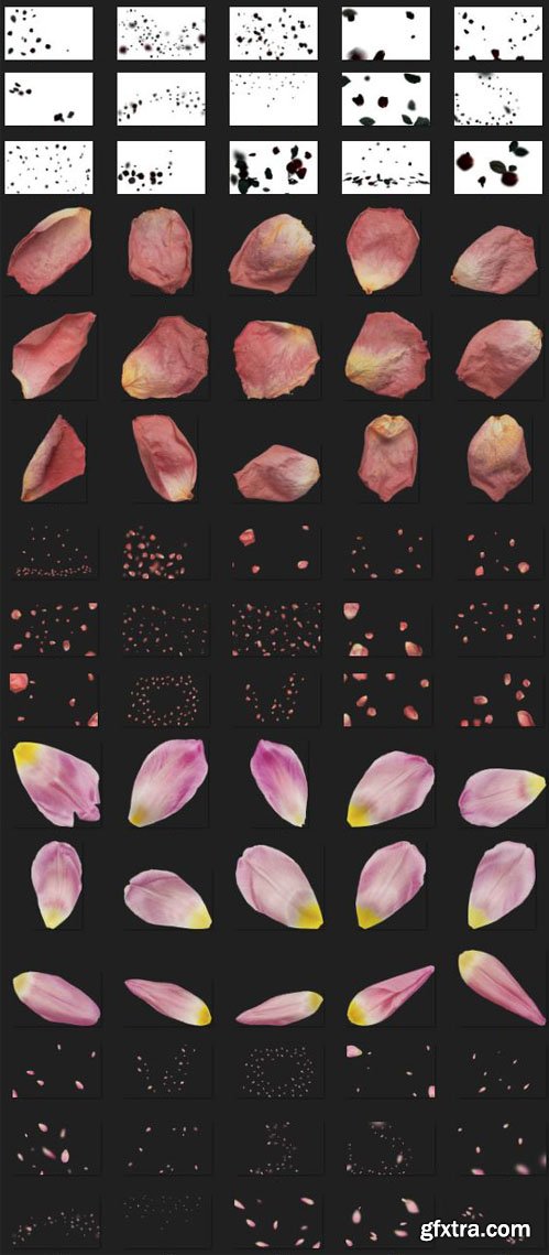Petals and Leaves Bundle - 500+ Photoshop Overlays Collection Petals and Leaves Bundle - 500+ Photoshop Overlays Collection