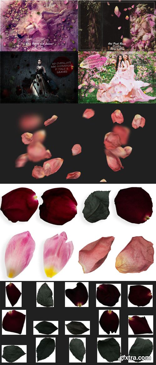 Petals and Leaves Bundle - 500+ Photoshop Overlays Collection Petals and Leaves Bundle - 500+ Photoshop Overlays Collection