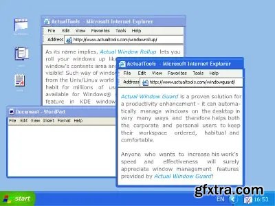 Actual Window Guard 8.15.3