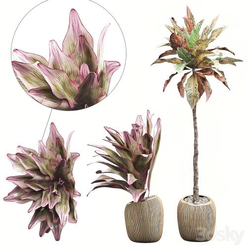 '3dsky Pro - INTERIOR FLOWER PACK 34'