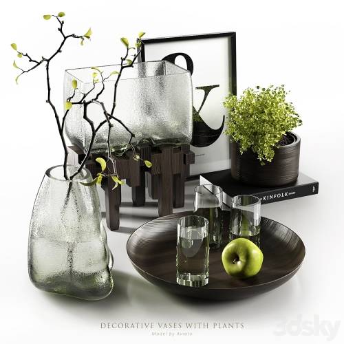 '3dsky Pro - Decorative vases with plants'