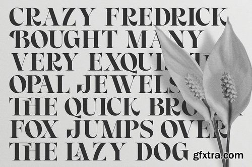 CreativeMarket - Royal Chapter - Modern Serif