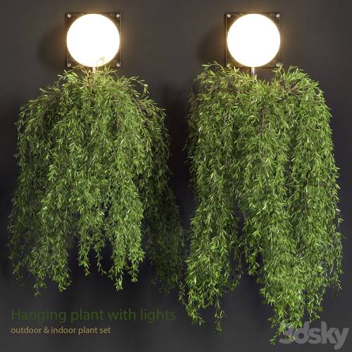 '3dsky Pro - Hanging Plant with Lights' '3dsky Pro - Hanging Plant with Lights'