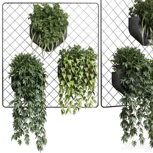 '3dsky Pro - wall plant - hanging plants collection Indoor plant 293 metal dirt vase' '3dsky Pro - wall plant - hanging plants collection Indoor plant 293 metal dirt vase'