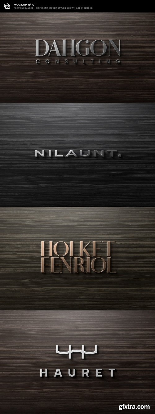 Asylab - 10 Deluxe Front Logo Mockups - V3