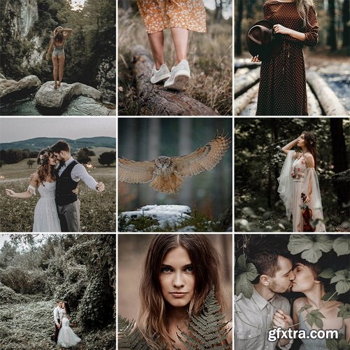 Phlearn - Dark & Moody Lightroom Presets for Classic & Mobile