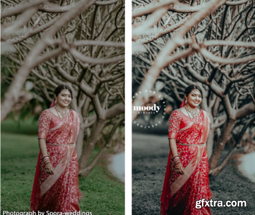 Moody Presets - Master Collection- Pack of 282 Presets