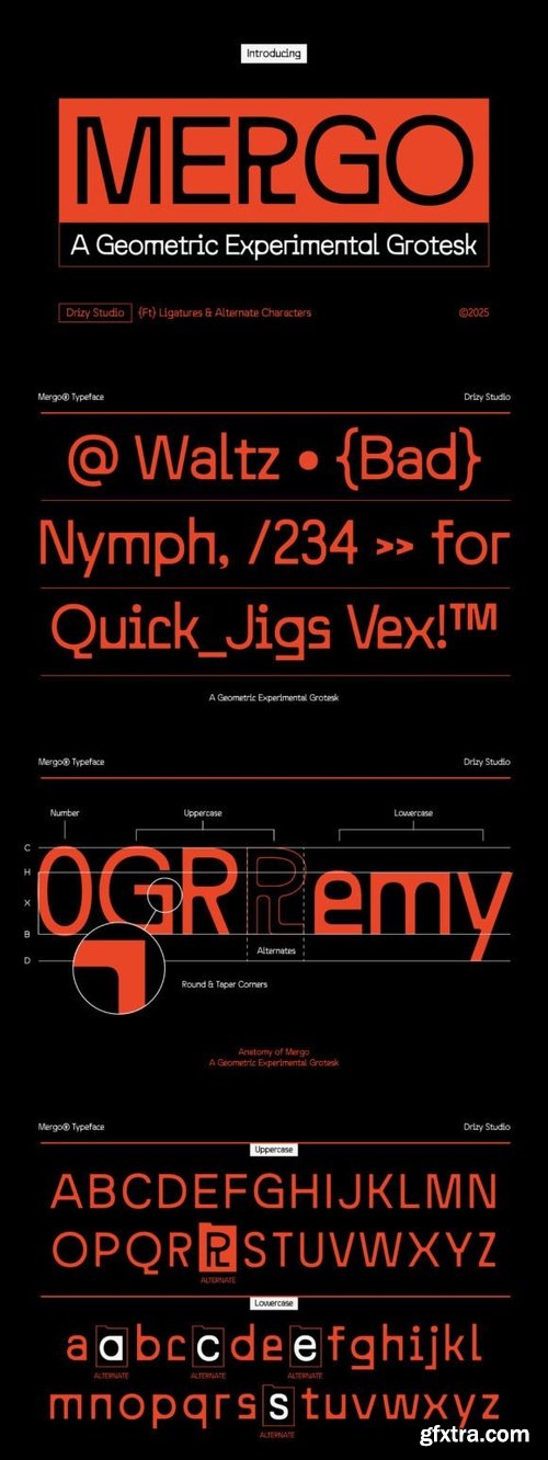 CreativeMarket - Mergo - Geometric Experimental Grote