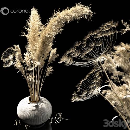 '3dsky Pro - dried flowers' '3dsky Pro - dried flowers'