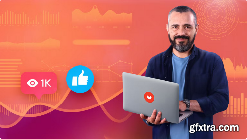 Domestika - Development of a Digital Media Plan