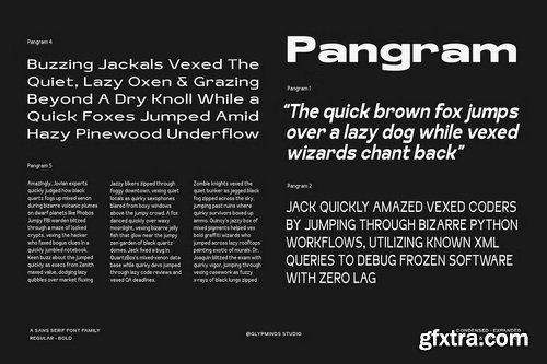 CreativeMarket - Schraft Sans Font Family