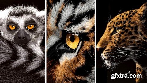 Udemy - How to Draw in Negative: Learn Inverted Drawing Technique