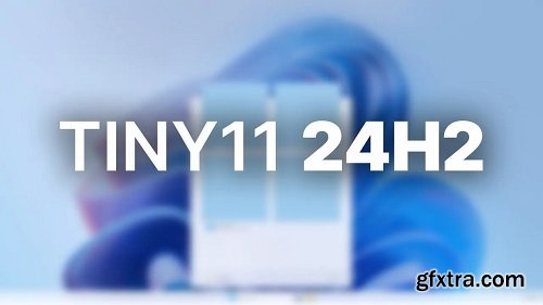 tiny11 Core 24H2 Build 26100.6899