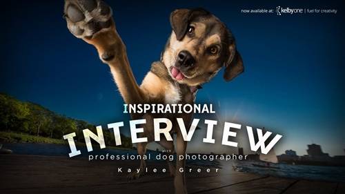 'KelbyOne - The Inspirational Interview with Professional Dog Photographer Kaylee Greer'