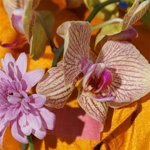 'Audiio - Fractions (Instrumental) - Juniper Vale' 'Audiio - Fractions (Instrumental) - Juniper Vale'