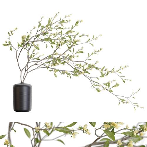 '3dsky Pro - Bouquet 48' '3dsky Pro - Bouquet 48'