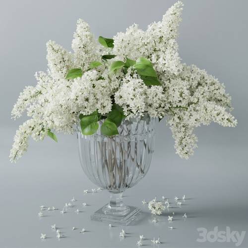 '3dsky Pro - lilac 2' '3dsky Pro - lilac 2'