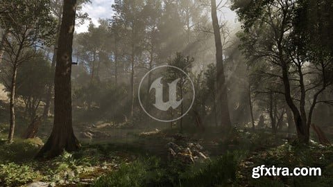 Udemy - Megascans Scene - Black Alder Forest