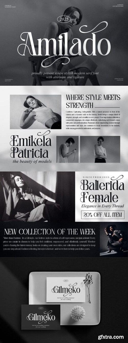 CreativeMarket - Amilado || Stylish Modern Serif Font
