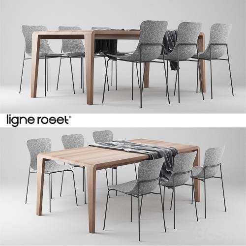 '3dsky Pro - Ligne Roset SpiritOfForest Table and Ettoriano Chair'