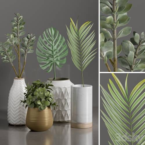 '3dsky Pro - Plants 1'