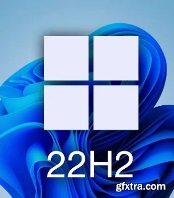 Windows 10 22H2 Build 19045.6216 Consumer/Business Edition