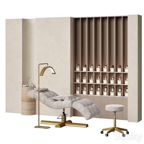 '3dsky Pro - Beauty salon with couch and accessories Figuratti P02' '3dsky Pro - Beauty salon with couch and accessories Figuratti P02'