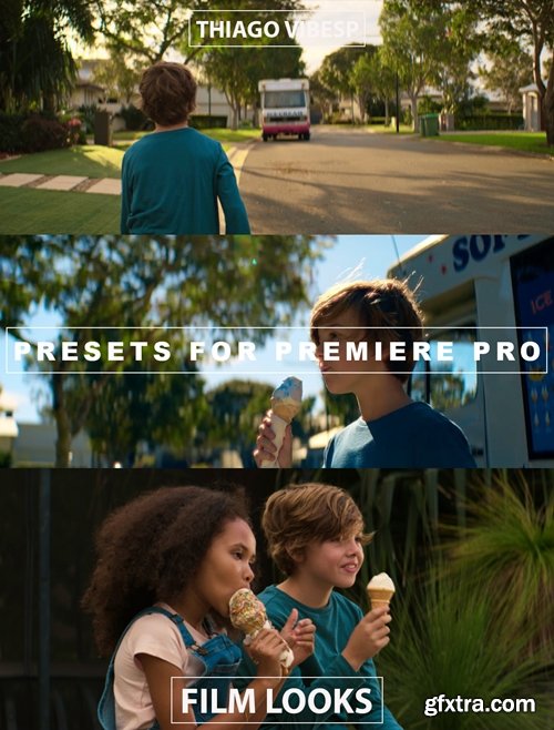 5 Essential Red Camera Presets for Adobe Premiere Pro 5 Essential Red Camera Presets for Adobe Premiere Pro