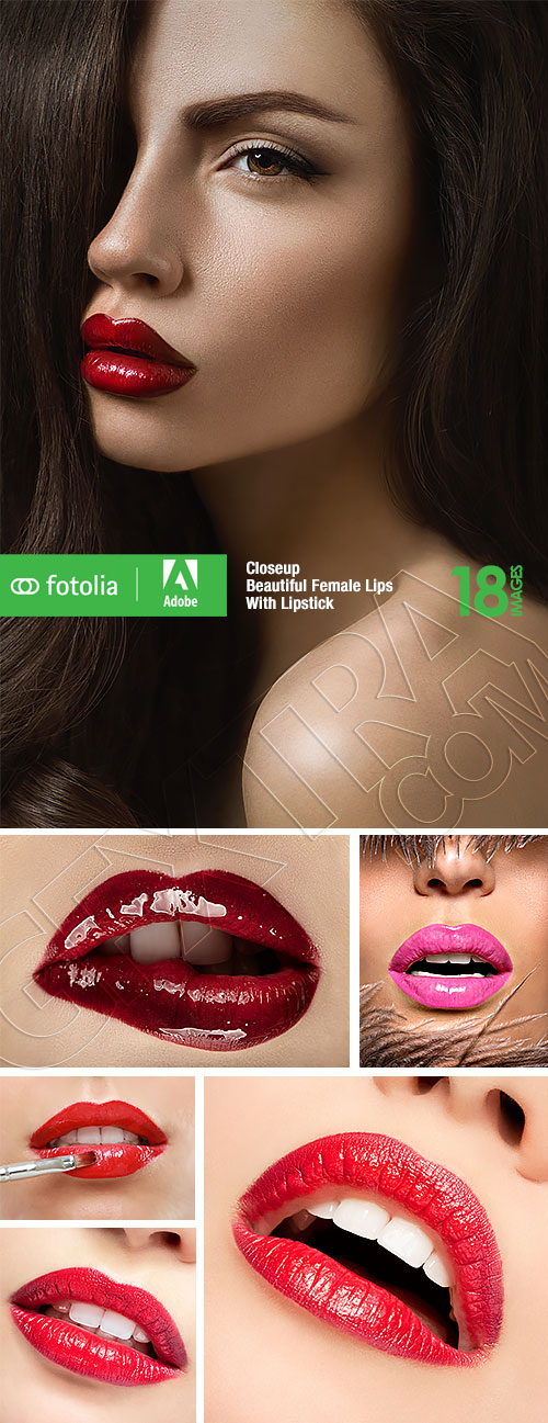 Closeup Beautiful Female Lips With Lipstick 18xEPS Closeup Beautiful Female Lips With Lipstick 18xEPS