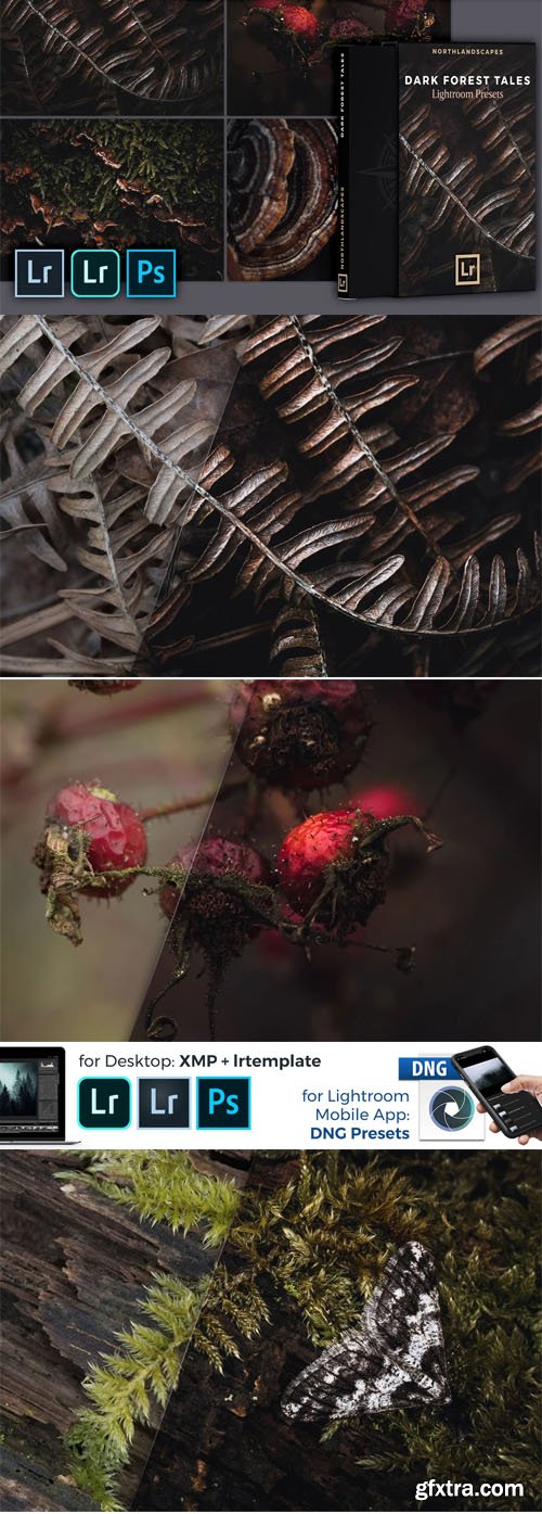 Dark Forest Tales Mobile & Desktop Presets for Lightroom Dark Forest Tales Mobile & Desktop Presets for Lightroom