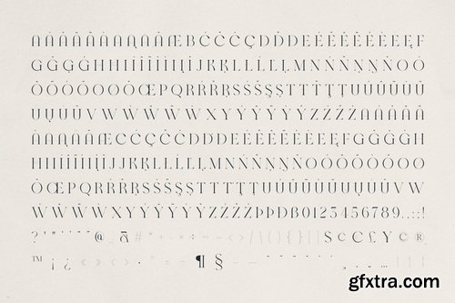 CreativeMarket - Solora – Elegant Modern Serif Font